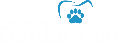 Bearspaw Dental Clinic Logo